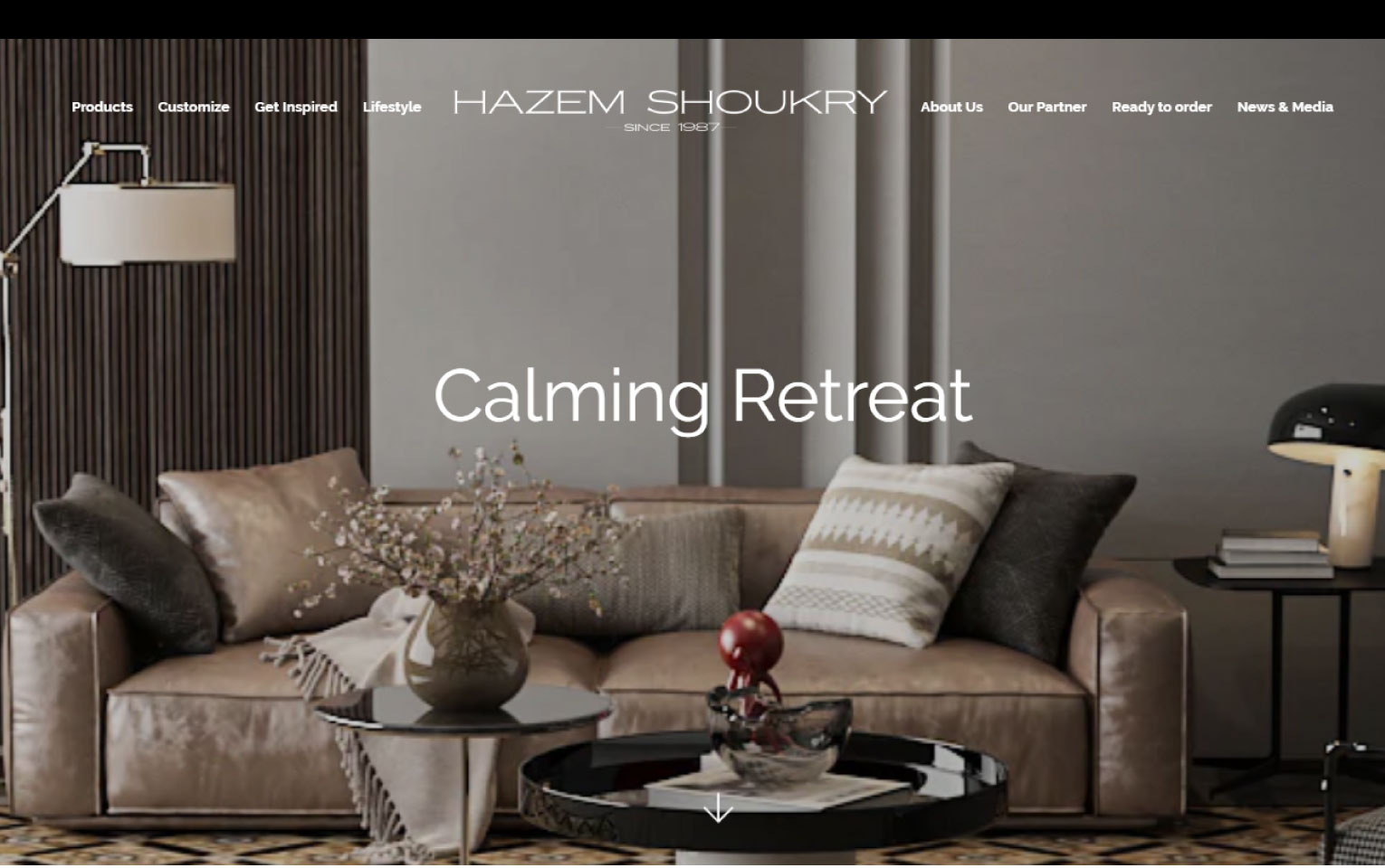 Hazem Shoukry 7 153014 1